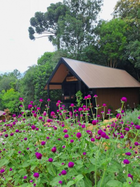 Cabana do Mato Waldhütte